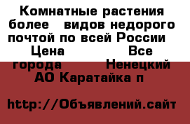 Комнатные растения более200видов недорого почтой по всей России › Цена ­ 100-500 - Все города  »    . Ненецкий АО,Каратайка п.